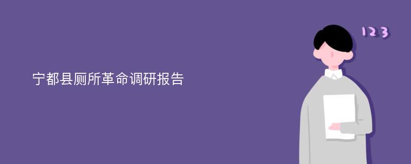 宁都县厕所革命调研报告