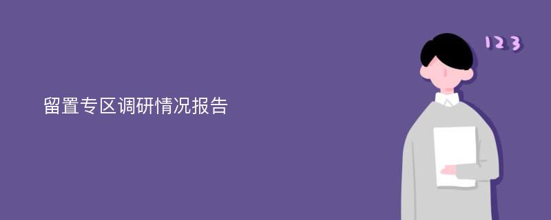 留置专区调研情况报告