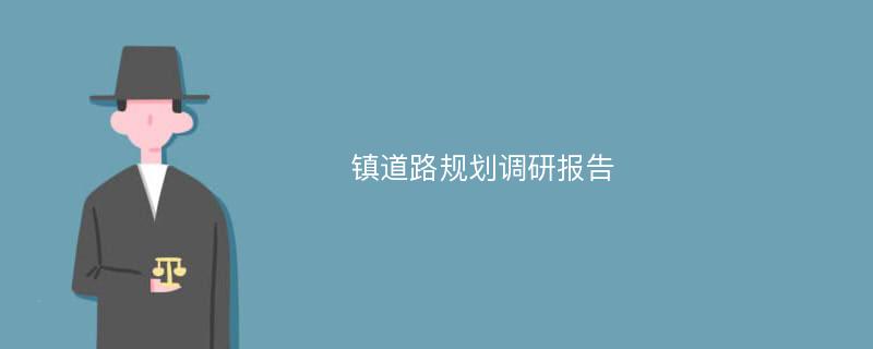 镇道路规划调研报告