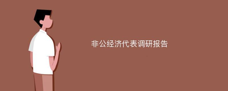 非公经济代表调研报告