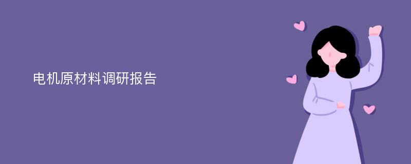 电机原材料调研报告