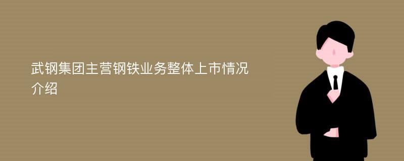 武钢集团主营钢铁业务整体上市情况介绍