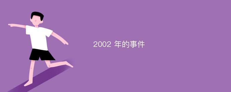 2002 年的事件