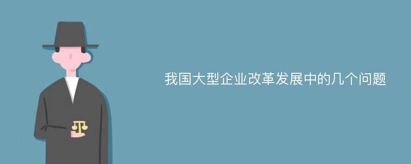 我国大型企业改革发展中的几个问题