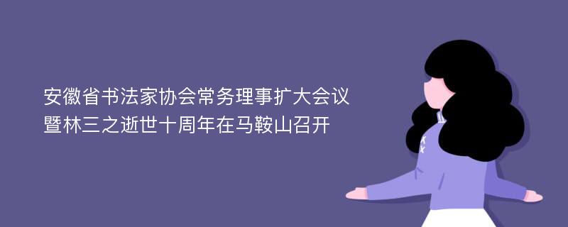 安徽省书法家协会常务理事扩大会议暨林三之逝世十周年在马鞍山召开