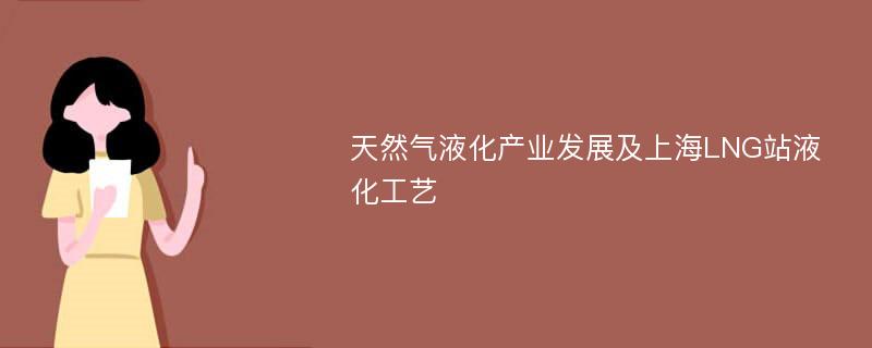 天然气液化产业发展及上海LNG站液化工艺