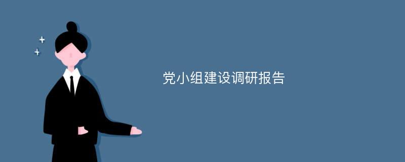 党小组建设调研报告