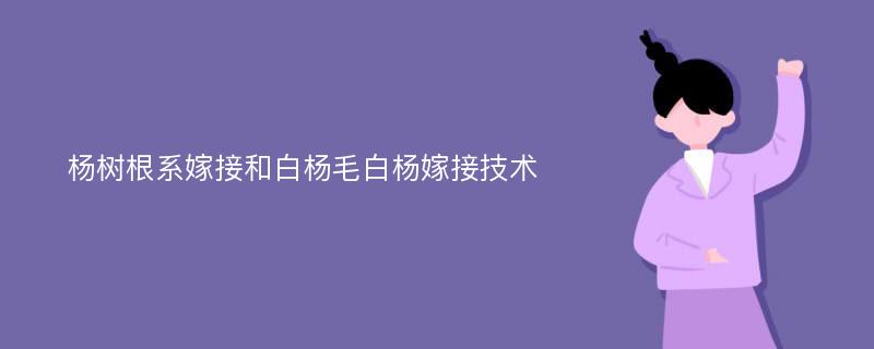 杨树根系嫁接和白杨毛白杨嫁接技术