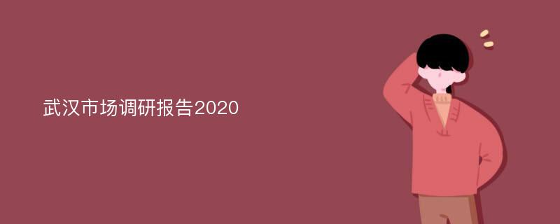 武汉市场调研报告2020