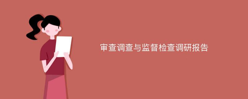 审查调查与监督检查调研报告